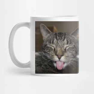 Senpai Cat Mug